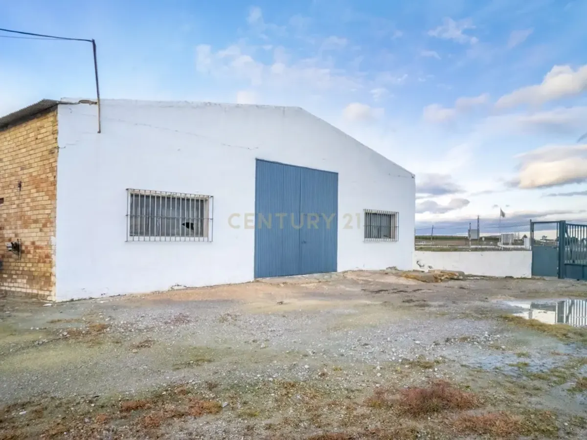## NAVES CON PARCELA N.:5269 (Precio: 435.000 Euro)