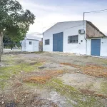 ## NAVES CON PARCELA N.:5269 (Precio: 435.000 Euro) 14