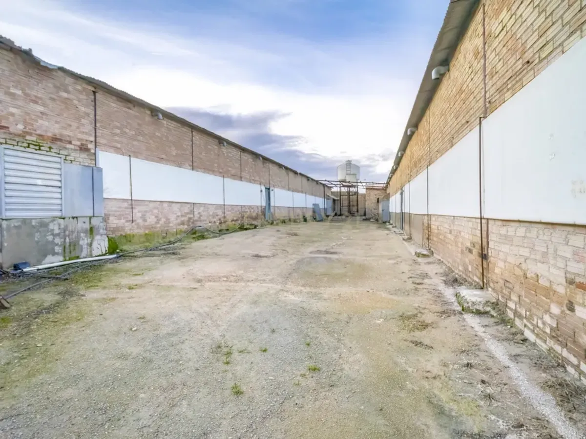 ## NAVES CON PARCELA N.:5269 (Precio: 435.000 Euro)