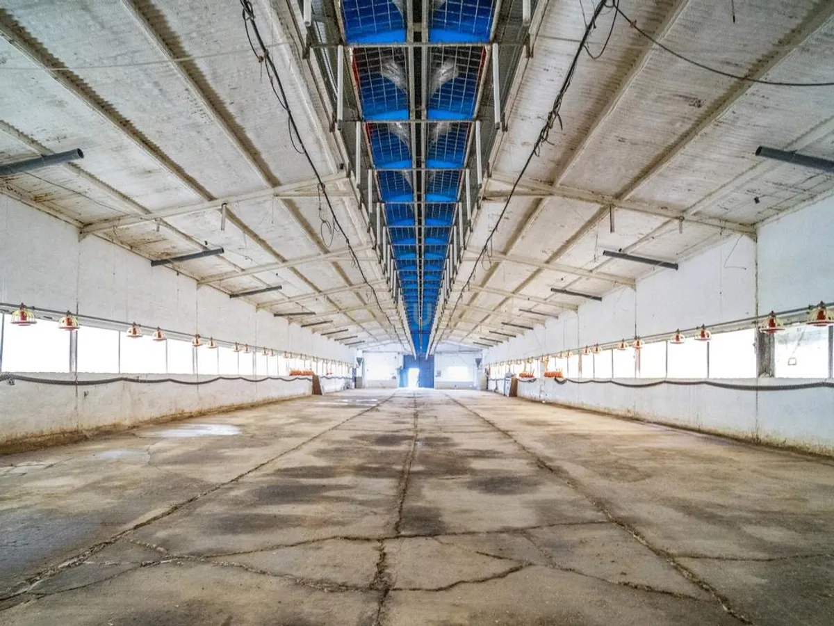 ## NAVES CON PARCELA N.:5935 (Precio: 985.000 Euro)