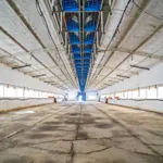 ## NAVES CON PARCELA N.:5935 (Precio: 985.000 Euro) 1