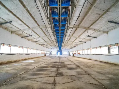 ## NAVES CON PARCELA N.:5935 (Precio: 985.000 Euro)