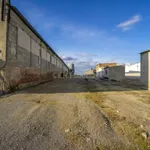 ## NAVES CON PARCELA N.:5935 (Precio: 985.000 Euro) 13