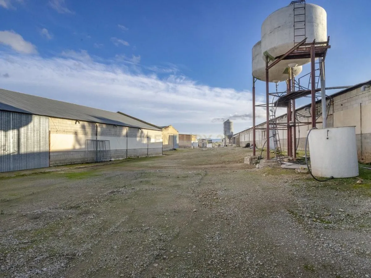 ## NAVES CON PARCELA N.:5935 (Precio: 985.000 Euro)