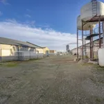 ## NAVES CON PARCELA N.:5935 (Precio: 985.000 Euro) 15