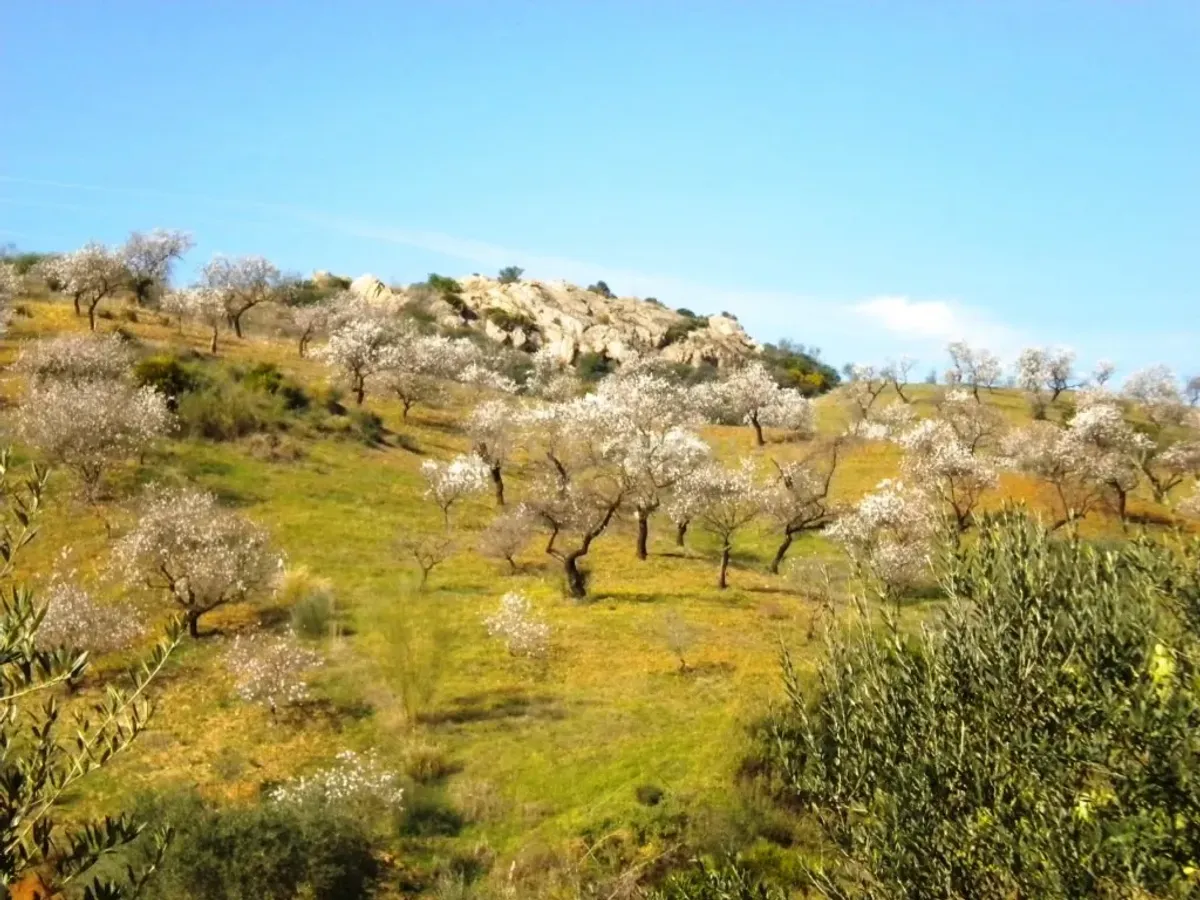 Finca rústica con terreno en Cártama, Málaga