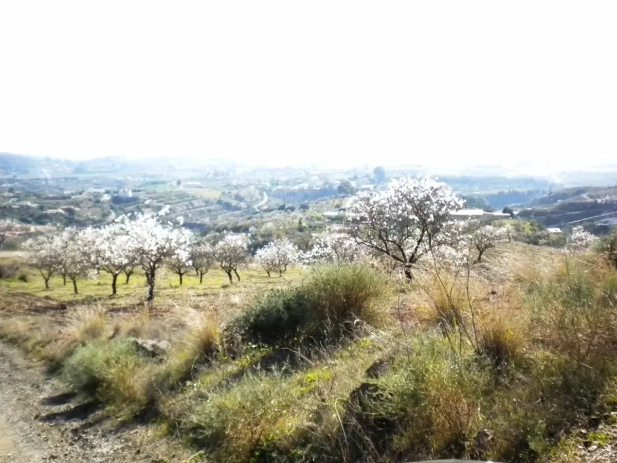 Finca rústica con terreno en Cártama, Málaga