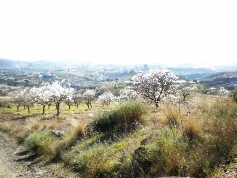 Finca rústica con terreno en Cártama, Málaga