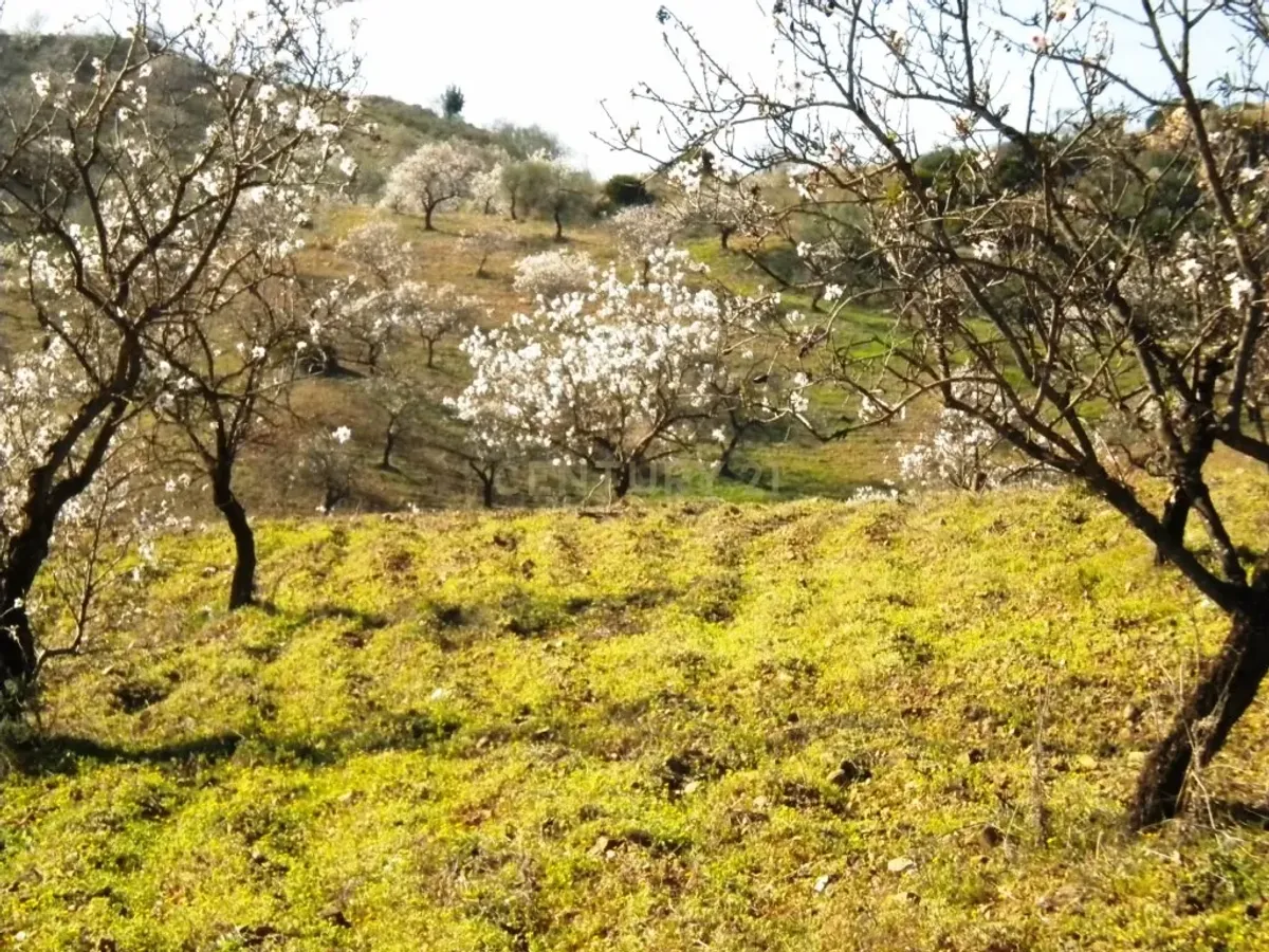 Finca rústica con terreno en Cártama, Málaga