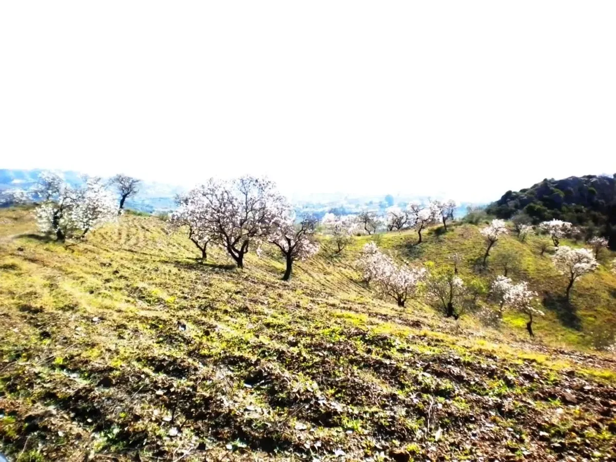 Finca rústica con terreno en Cártama, Málaga