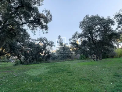 House / Villa for sale in La Moraleja, Madrid