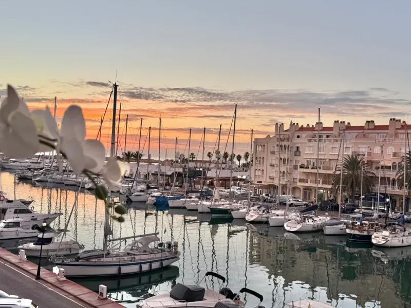 TU NUEVO HOGAR EN EL PUERTO DE ALMERIMAR