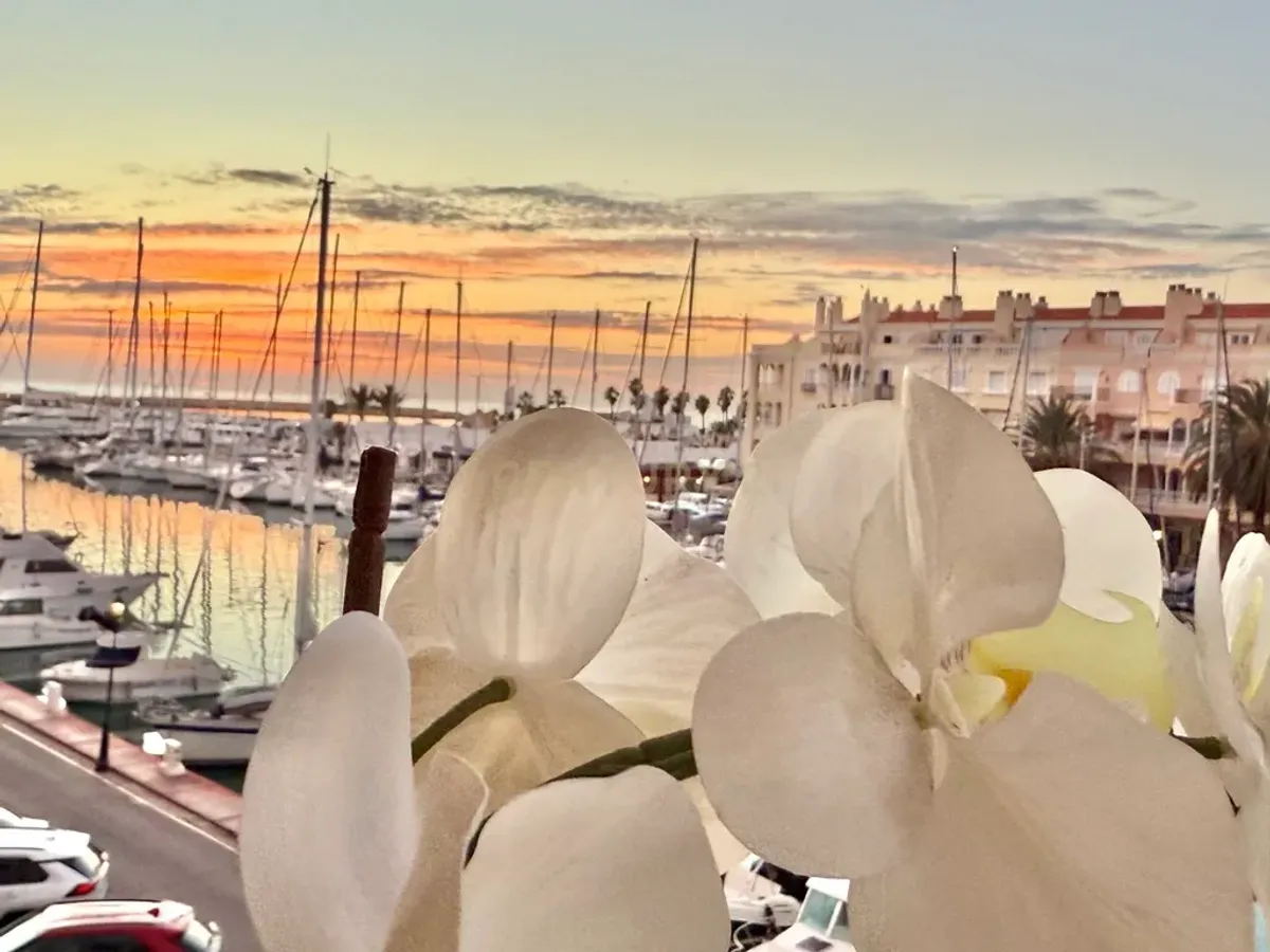 TU NUEVO HOGAR EN EL PUERTO DE ALMERIMAR