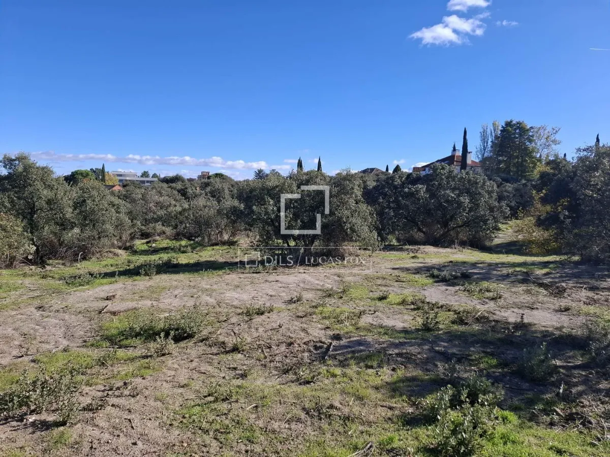 Plot for sale in Cuidalcampo, Madrid