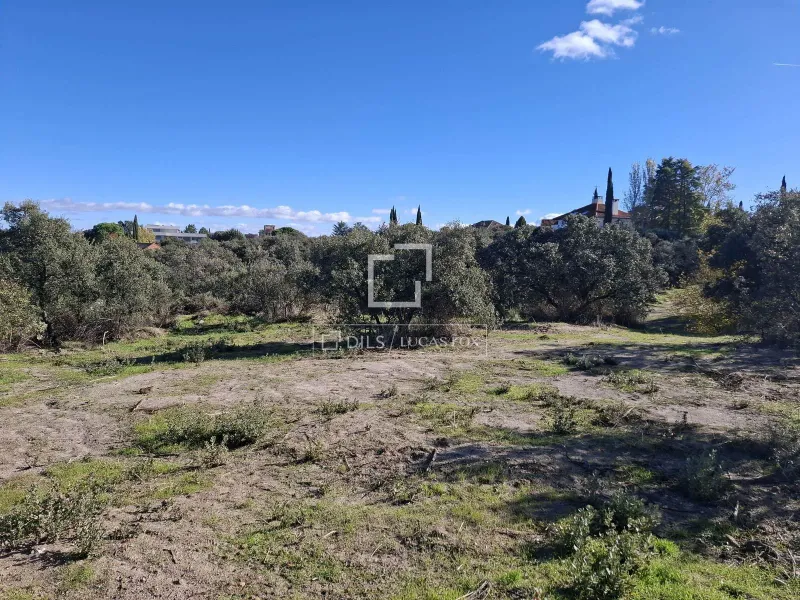 Plot for sale in Cuidalcampo, Madrid