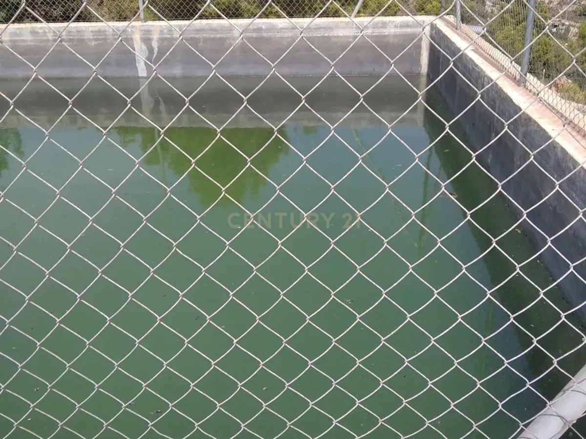 Finca rústica de 32.000 m² con cultivos tropicales en Gualchos