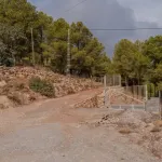 Finca rústica de 32.000 m² con cultivos tropicales en Gualchos 8