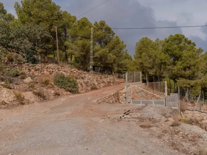 Finca rústica de 32.000 m² con cultivos tropicales en Gualchos