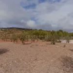 Finca rústica de 32.000 m² con cultivos tropicales en Gualchos 13