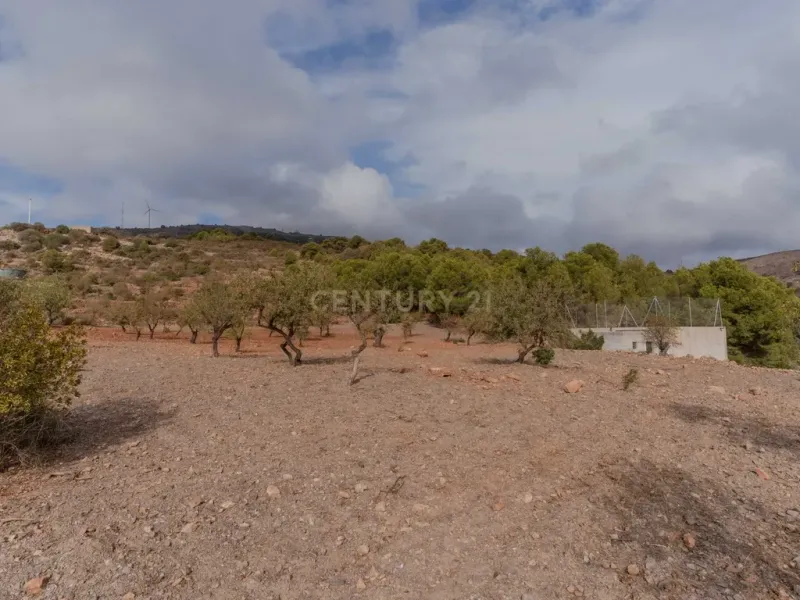 Finca rústica de 32.000 m² con cultivos tropicales en Gualchos