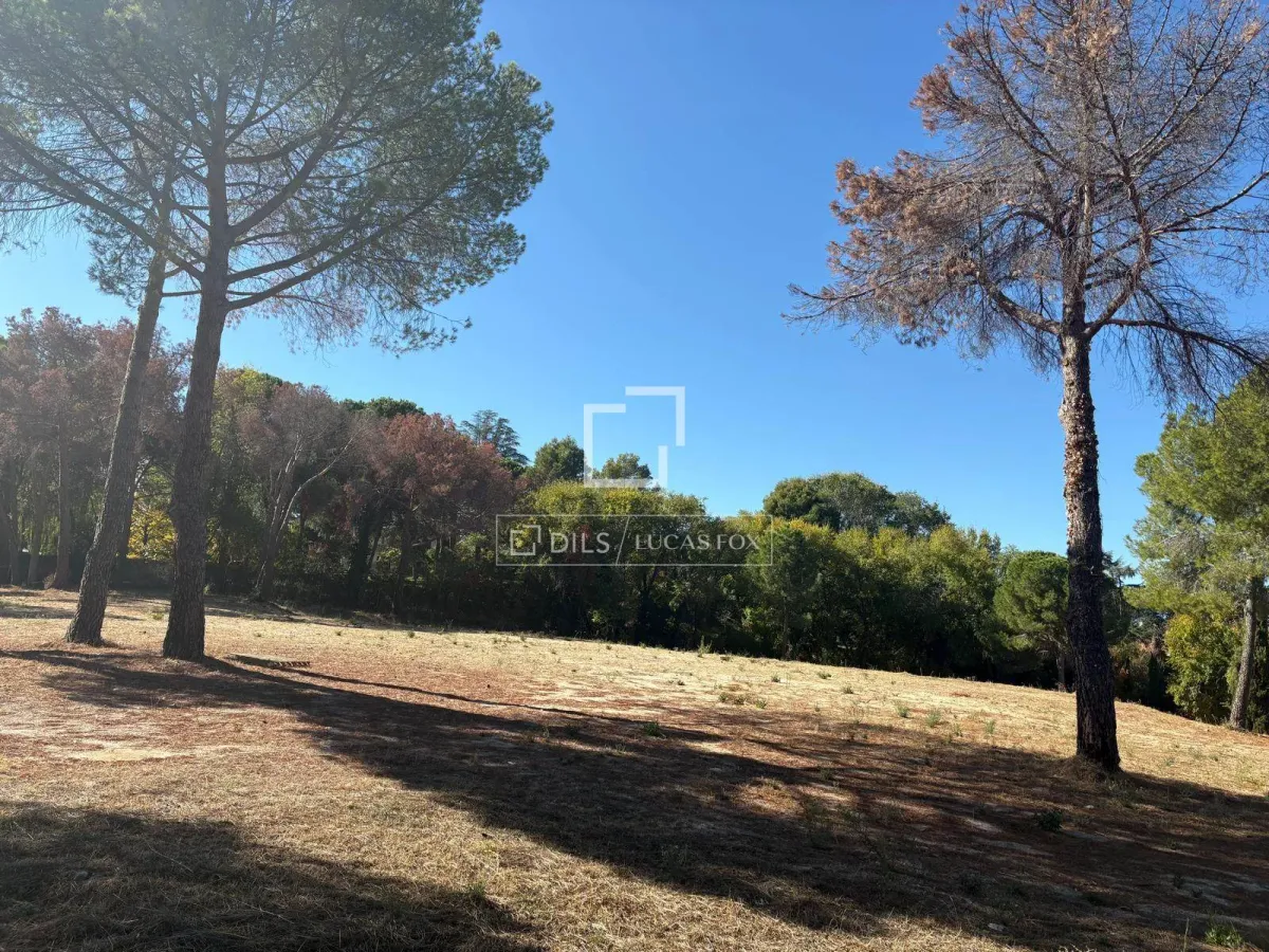 Plot for sale in La Moraleja, Madrid