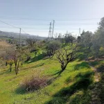 Exclusiva finca rústica con dos viviendas y vistas panorámicas en Estación de Cártama 9