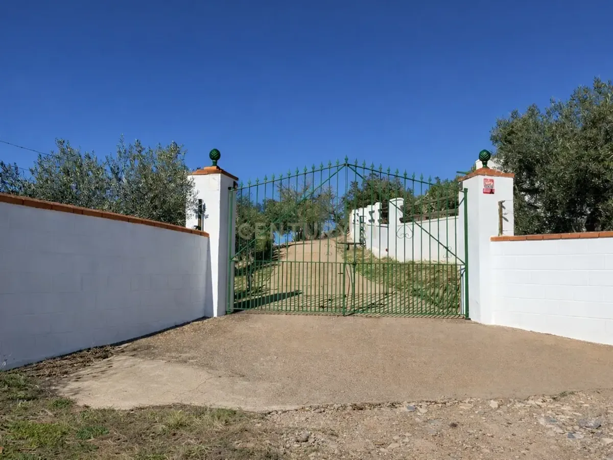 🌿 Finca con olivar en Zafra: 30.000 m² de terreno + casa 255 m² con piscina y dos porches 🏡☀️