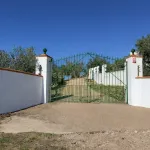 🌿 Finca con olivar en Zafra: 30.000 m² de terreno + casa 255 m² con piscina y dos porches 🏡☀️ 5
