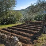 🌿 Finca con olivar en Zafra: 30.000 m² de terreno + casa 255 m² con piscina y dos porches 🏡☀️ 8