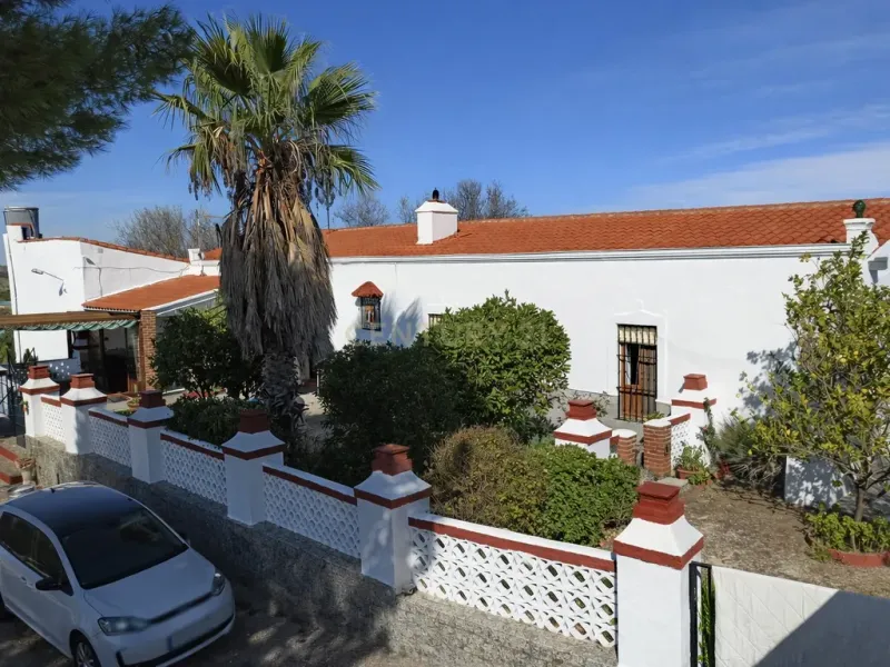🌿 Finca con olivar en Zafra: 30.000 m² de terreno + casa 255 m² con piscina y dos porches 🏡☀️