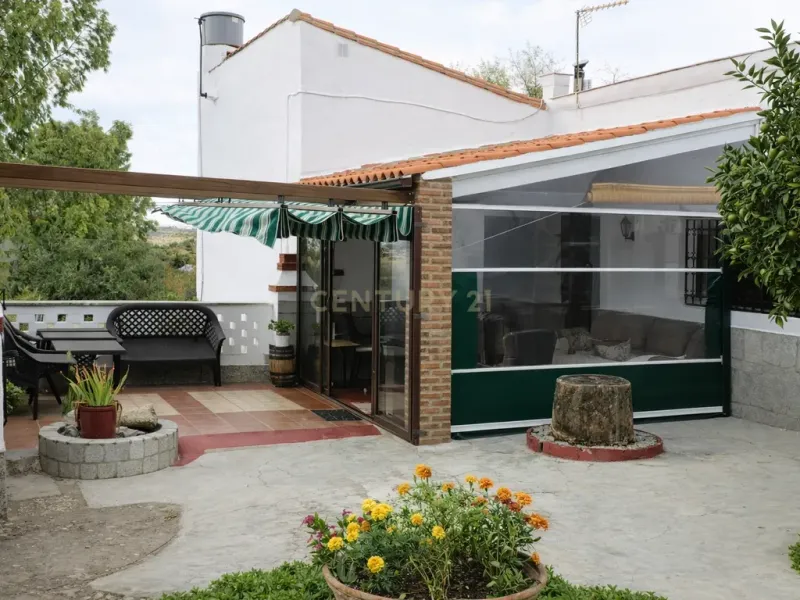 🌿 Finca con olivar en Zafra: 30.000 m² de terreno + casa 255 m² con piscina y dos porches 🏡☀️