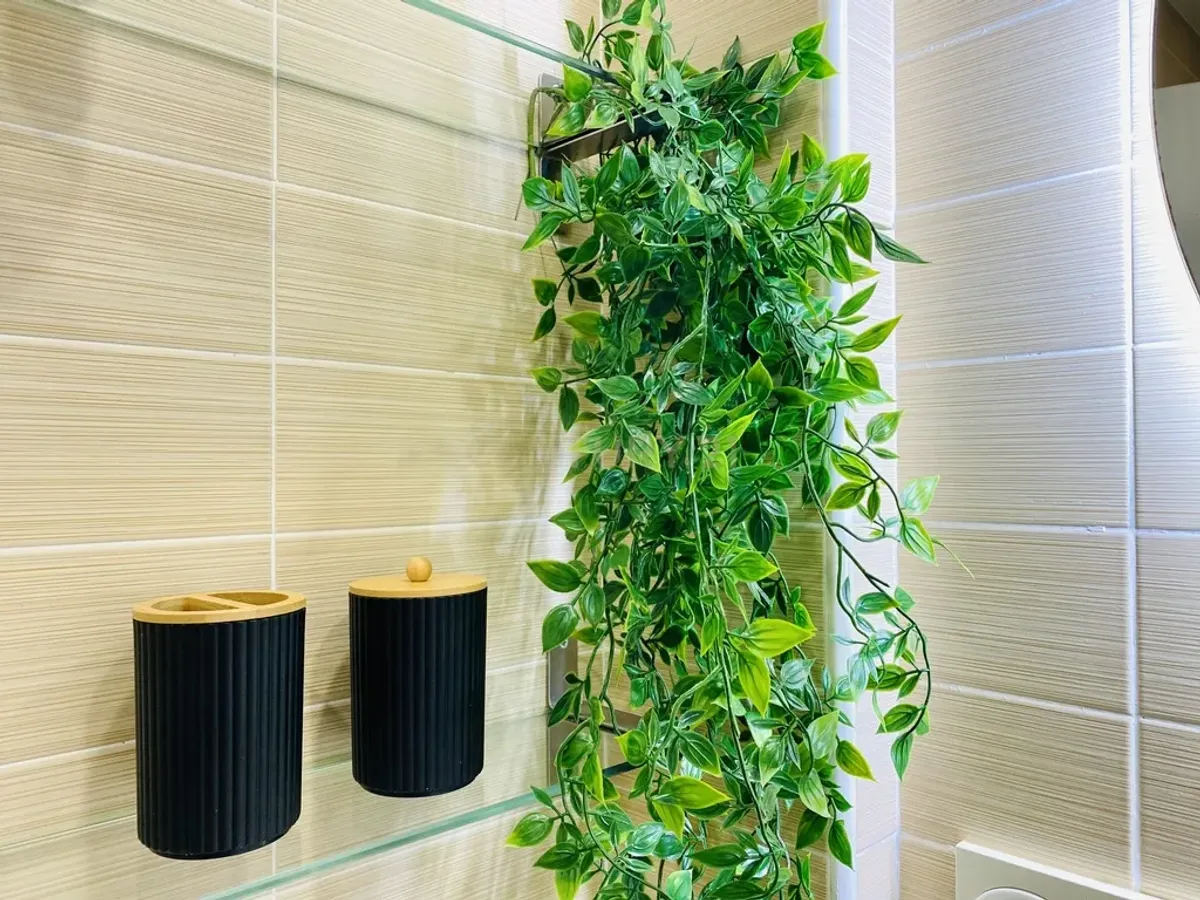 ESTUDIO EN PORTOFINO