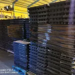 LOSETAS CAUCHO NUEVAS GYM.FITNESS.AEROBIC 20€./Uni 1