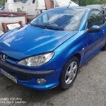 Peugeot 206 2004 1