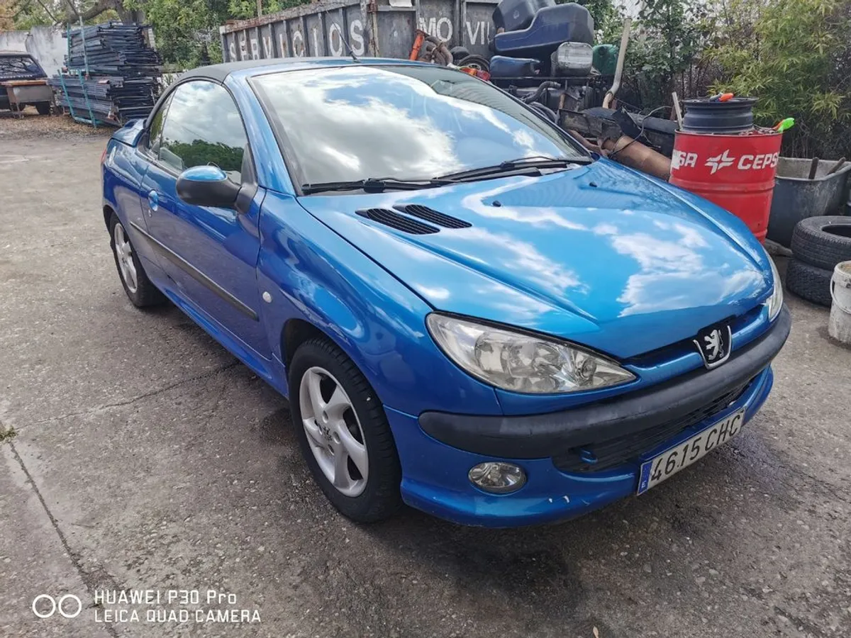Peugeot 206 2004