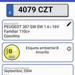 PEUGEOT 307 SW 1.6i 7plazas ETIQUETA B 9